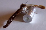 a LIGA microturbine mould (and a butterfly)