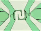 Assembly of the micropump